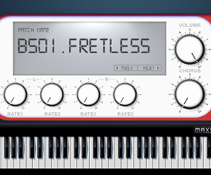 Bass Module