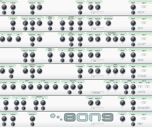 Bong