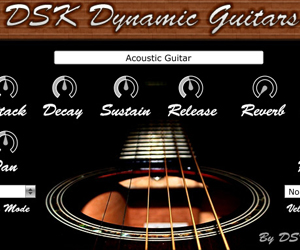 Dynamic Guitars