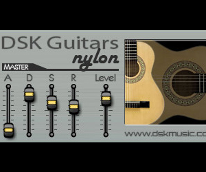 DSK Guitars Nylon