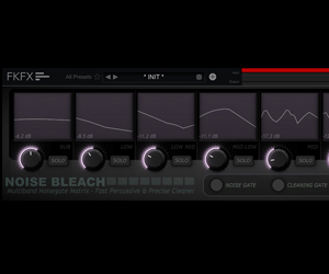 Noise Bleach