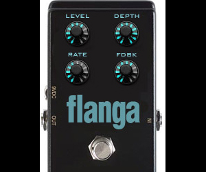 Flanga