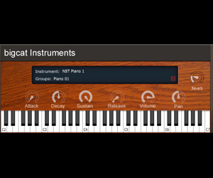 NST Pianos