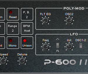 P-600 II