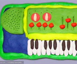 PLASTIC Piano