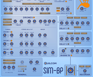 SIM-BP