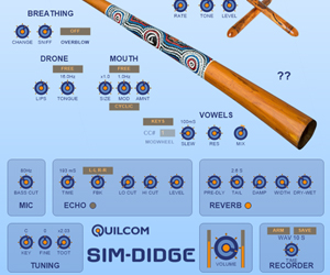 SIM-DIDGE