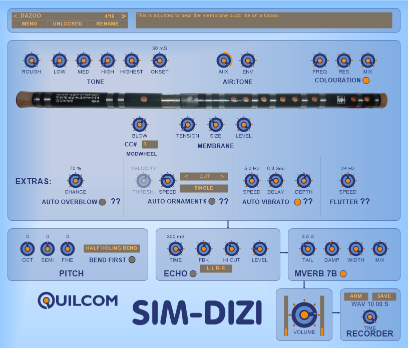 SIM-DIZI