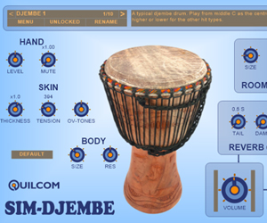 SIM-DJEMBE