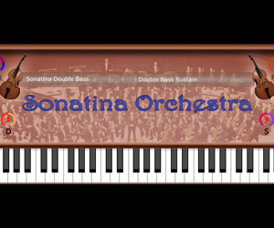 Sonatina Double Bass 