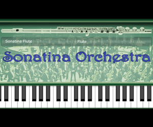 Sonatina Flute