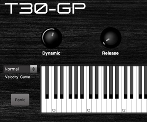 T30-GP